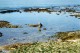 Praia de Icaraí - catador de mariscos